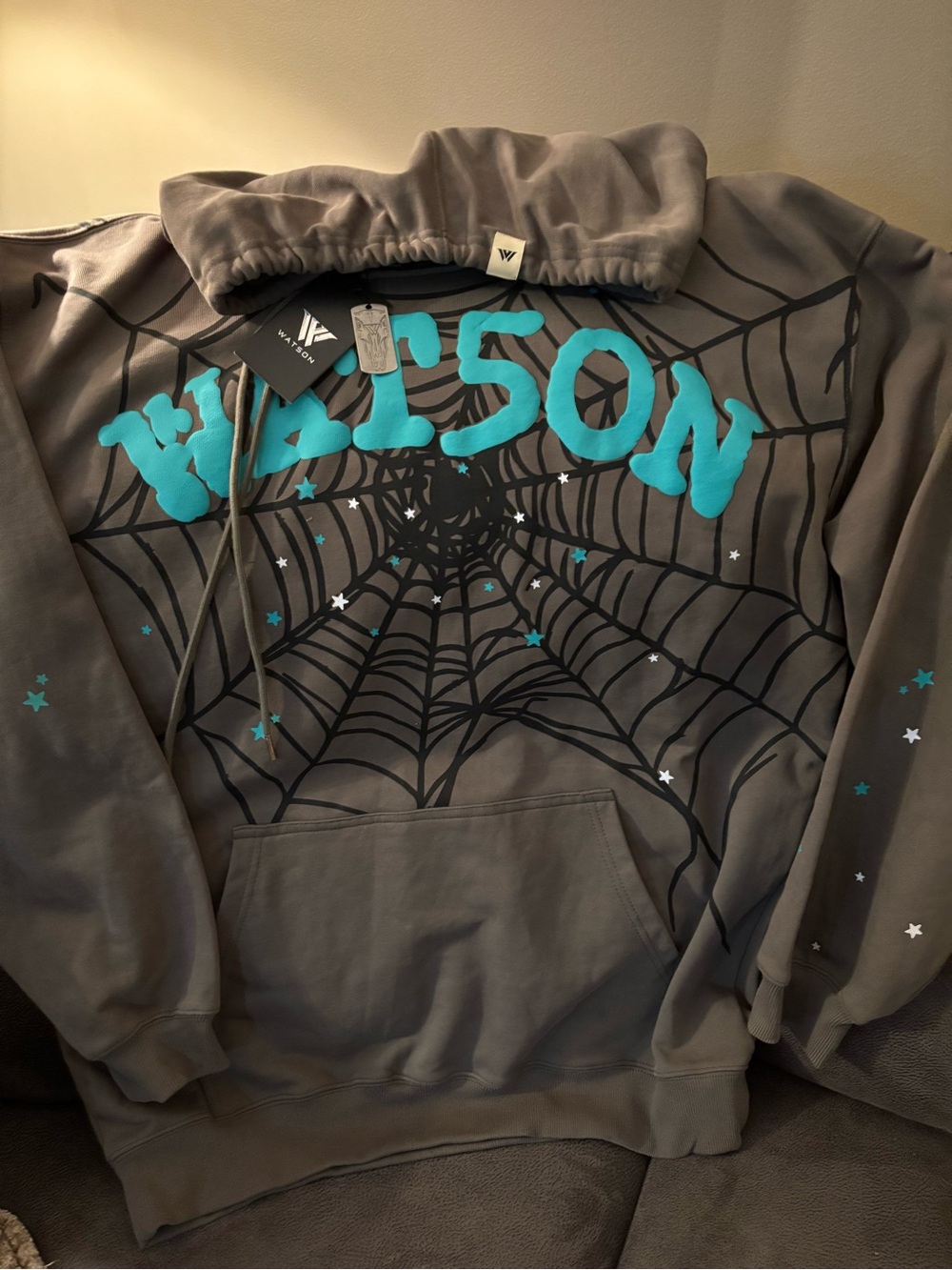 Watson Gray Hoodie with Teal Web Graphic